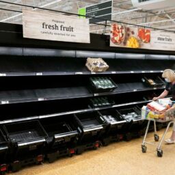 Empty shelves in supermarkets around the world is apparently going to become a norm in the near future.